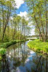 Fototapeta na wymiar Spring landscape with green forest and river flowing into the lake