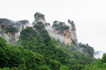 Photo of Beautiful Rock Mountains with Green Trees Surrounded by White Mist Clouds. Green Mountain Landscape