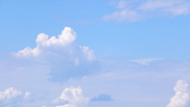 Flock of birds flying in blue sky. Nature background with wildlife.