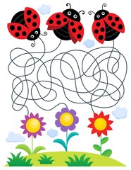 Maze 25 with ladybugs and flowers