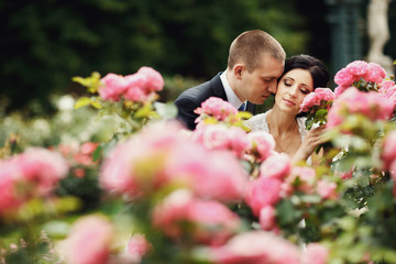 newlyweds among flowering garden roses