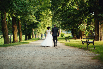 Fototapeta premium Happy just married couple holding each other hands and walking i