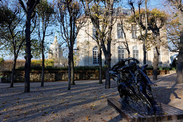 The Garden of Rodin's Museum