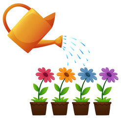 Watering can and flowers in garden © brgfx