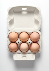 Chicken Eggs in Container