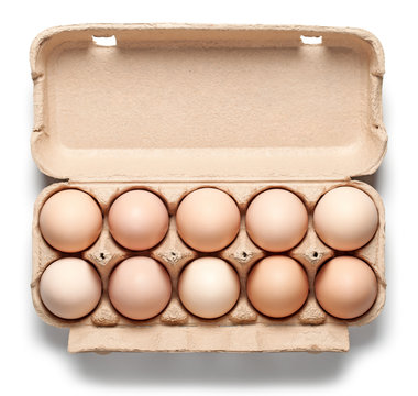 Chicken Eggs in Container