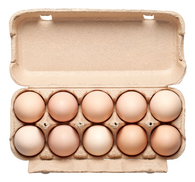 Chicken Eggs in Container