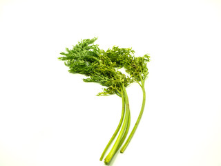 Leaf of baby carrot on isolated white background