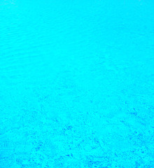 pool water