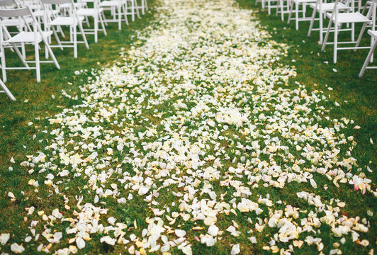 The wedding ceremony