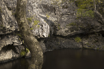 Waterfall near Montville, Sunshine Coast Hinterlands in Queensland.