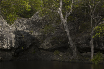 Waterfall near Montville, Sunshine Coast Hinterlands in Queensland.
