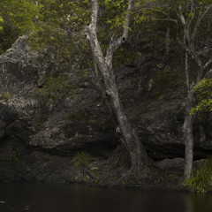 Fototapeta na wymiar Waterfall near Montville, Sunshine Coast Hinterlands in Queensland.