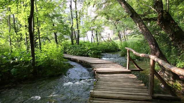 Deep forest stream with crystal clear water with wooden pahway. Plitvice lakes, Croatia UNESCO world heritage site