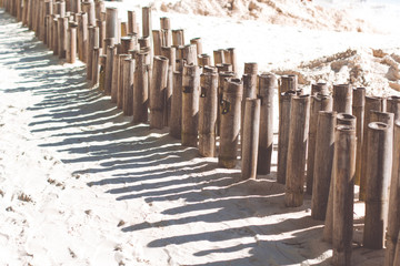 Bamboo sticks on the beach with white sand