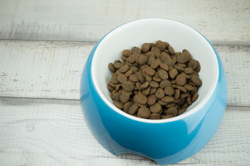 Hundefutter in einem blauen Napf, Holzhintergrund und Textfreiraum