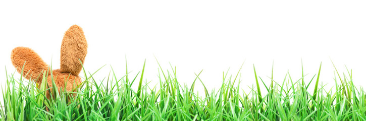 Ostern, Osterhase im Gras versteckt