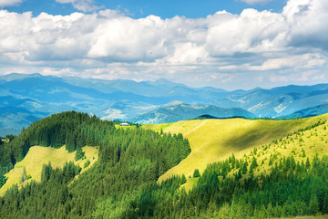 Vallée ensoleillée verte dans les montagnes