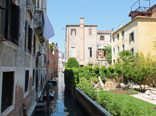 Fototapeta na wymiar The small garden in Venice.