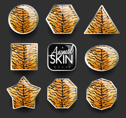 Set of Wild Animal Skin Icons : Vector Illustration