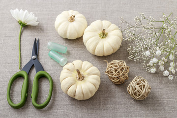 Florist at work: How to make floral decoration with white pumpki