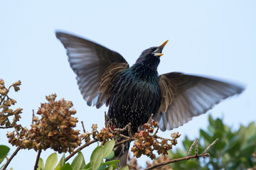 Around Hermanus, South Africa