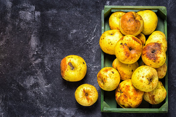 box full of of stale green apples on a dark black cement background, top view, copy space