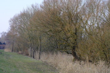 Fototapeta premium An der Wümme im Winter