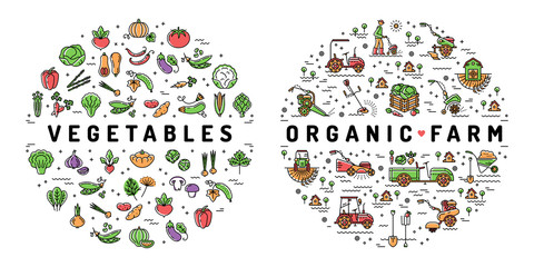 Fototapeta na wymiar Agriculture farming and Vegetables flat infographics. Colorful thin line farm icons, Organic food symbols. Vector illustration