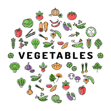 Vegetable icon circle infographics colorful veggies banner. Mega set of isolated vegetables symbols. Trendy thin line icons, Vector flat illustration