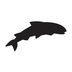 Fish salmon isolated on the white background black without eye