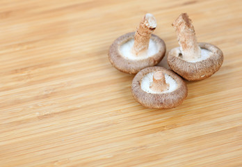 Shiitake mushroom on wood background