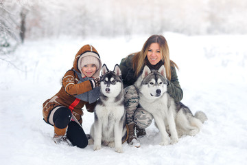 Fototapeta na wymiar happy family plays about Huskies