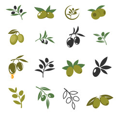 Vector mediterranean olive branches icons with oil drops, leaves and olives isolated on white background