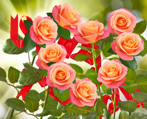 Beautiful flowers on a green background.