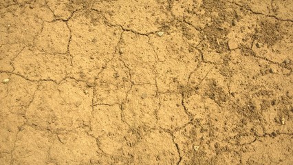 Dry land during hot summer. Slovakia