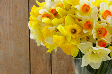 Fresh spring daffodils light and dark yellow on wooden planks background