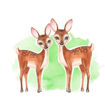Deers. Hand drawn cute fawns. Cartoon illustration. Watercolor painting 