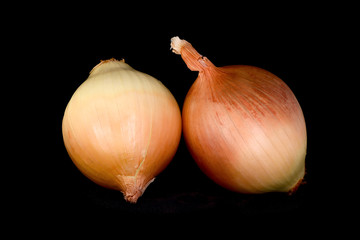 gold onion bulbs isolated on a black