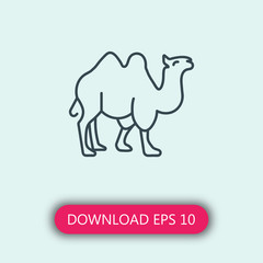 Camel icon vector