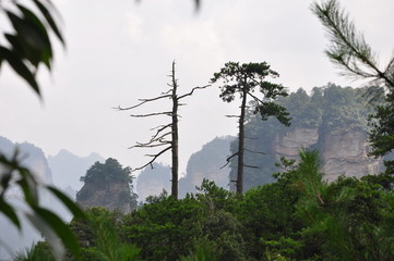 Obraz premium Wulingyuan