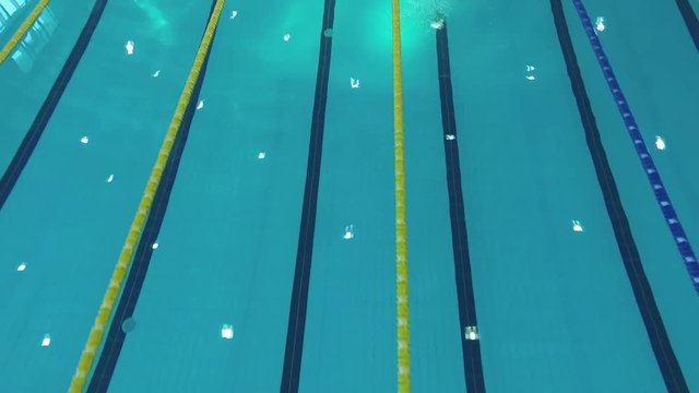 Flight over swimmer jumps off starting block into pool water HD aerial top view video. Professional male athlete training swimming
