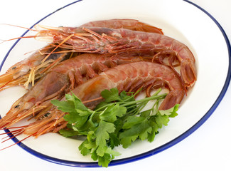 Dish with fresh prawns