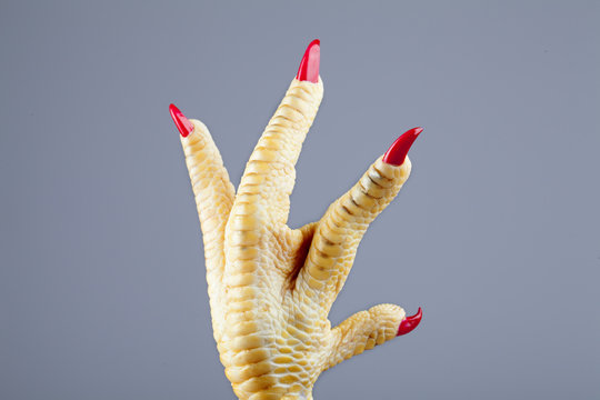 Pata de pollo con u&ntilde;as rojas