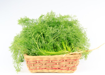 fennel in a basket