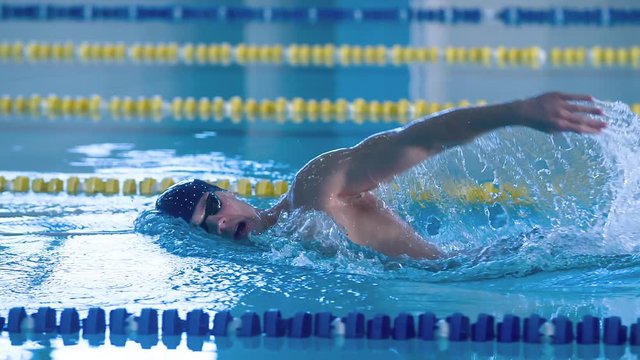 Male swimmer swims in pool HD slow-motion video. Front crawl freestyle training. Professional athlete on water lane. Side view