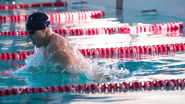 Male swimmer swims in pool HD slow-motion video. Breaststroke training of professional athlete: come up from water and dive. Side view