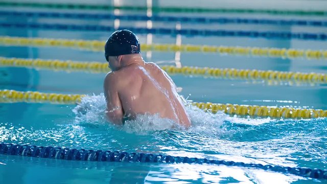 Male swimmer swims in pool HD slow-motion video. Breaststroke training of professional athlete: come up from water and dive. Side view