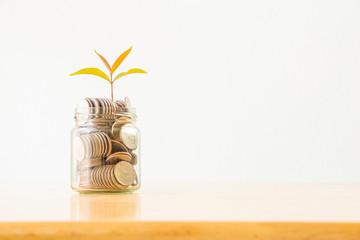 Business concept, saving planning with plant growing on coins in glass jar on wooden table over white wall background with space