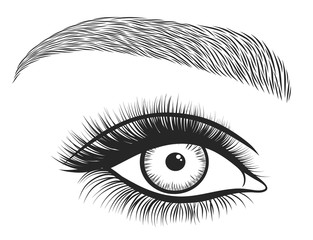 Obraz premium Hand drawn bright eyes with thick, long eyelashes and perfect brows. Stylized decorative makeup. Vector illustration